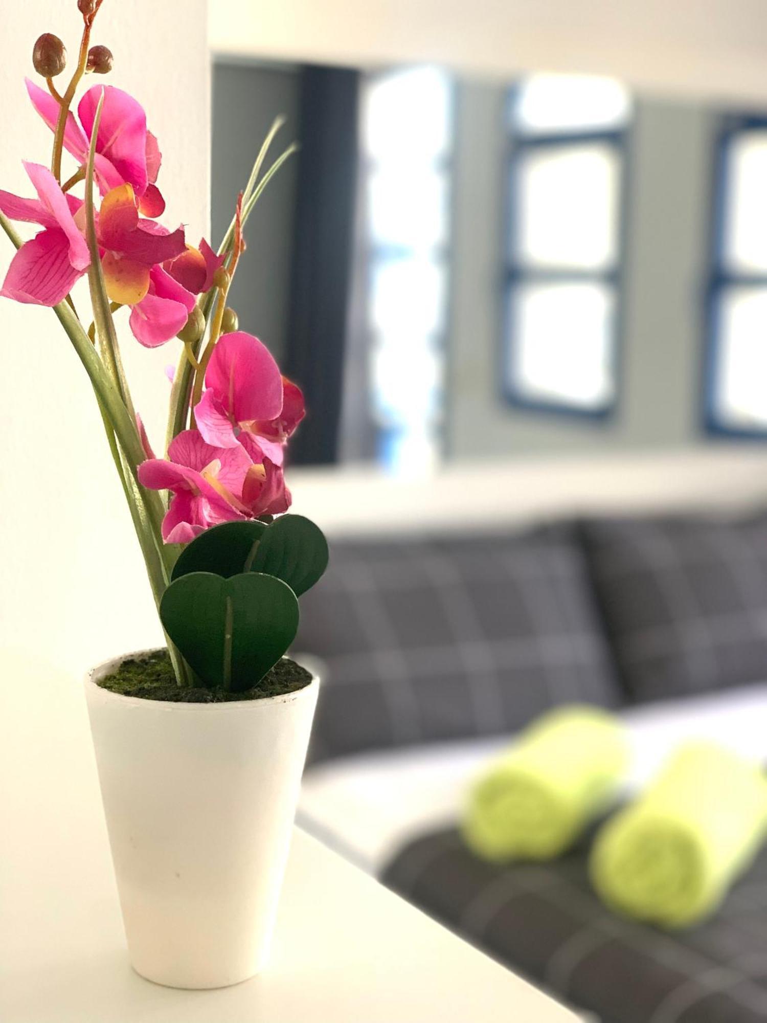 Bungalow Helena ماسبالوماس المظهر الخارجي الصورة